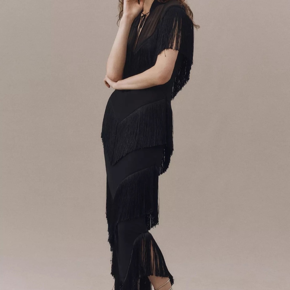 De La Vali Tellus Fringed Chiffon Midi Dress - Picture 4 of 5
